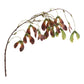 Esdoornvrucht Tak 110 cm bruin-bordeaux