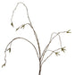 Hangende wilgentak van 105 cm, bruin