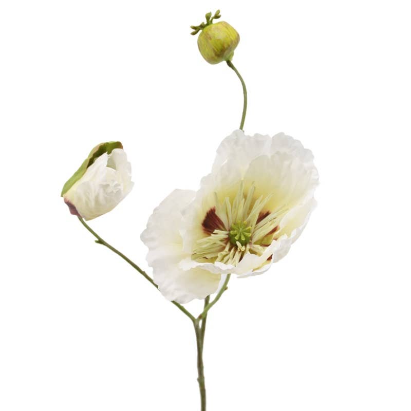Papaver - kunsttak
