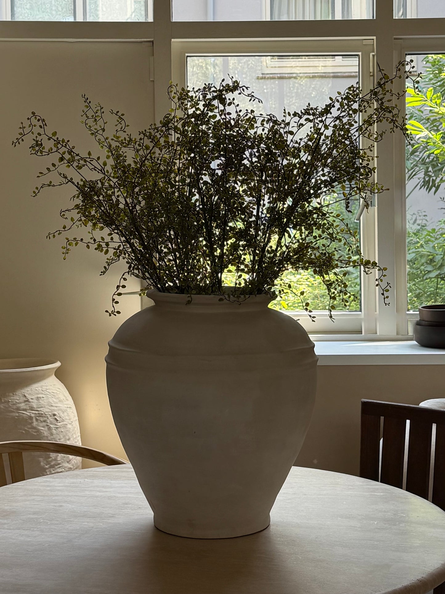 Mühlenbeckia tak 100 cm groen