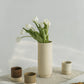 AMPHORA
