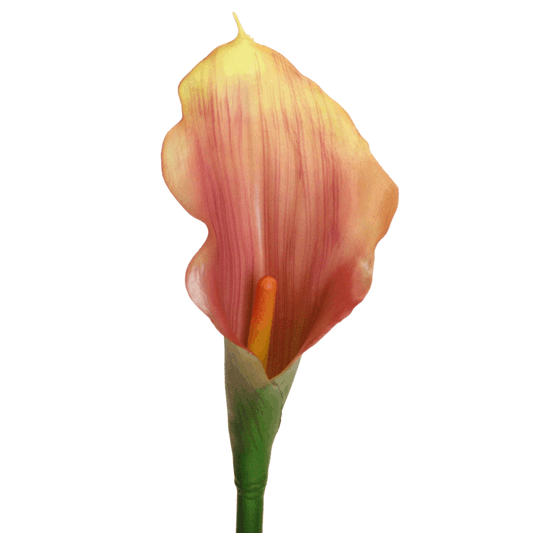 Calla 'soft touch' 55 cm mauve